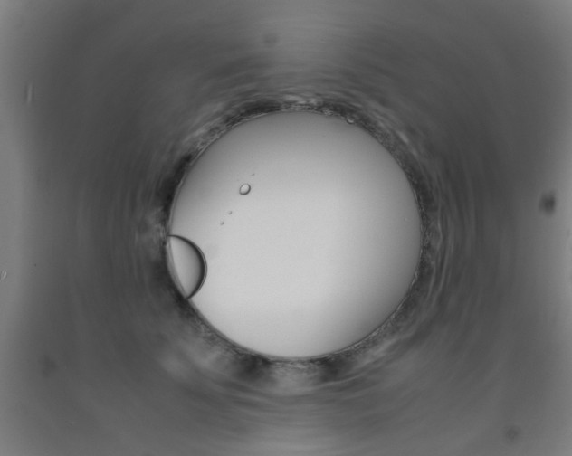 X0000093240707200709261530
