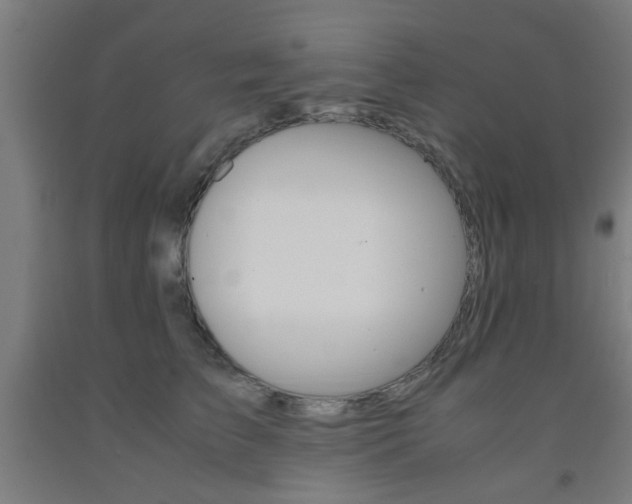 X0000093240709200709261530