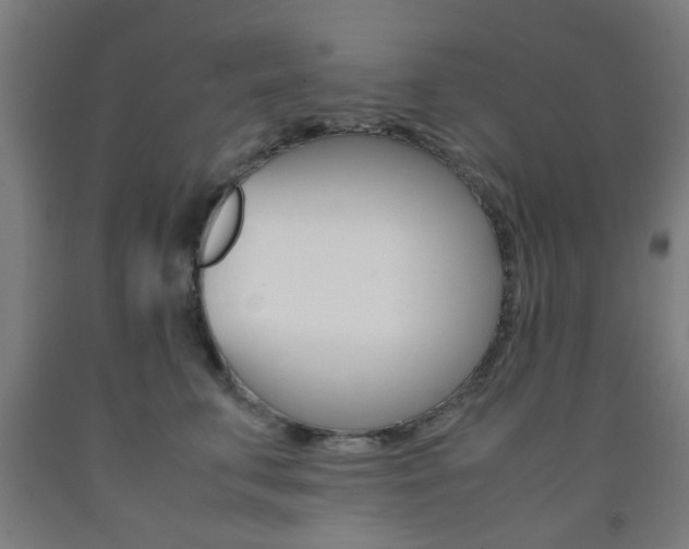 X0000093240711200709261530
