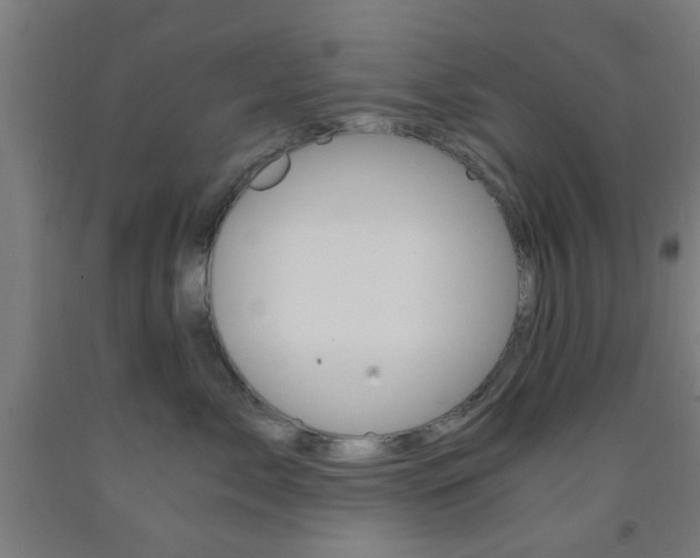 X0000093240717200709261530