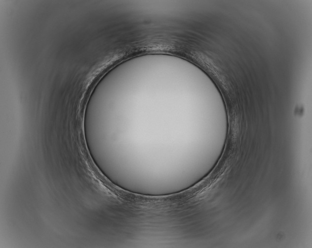 X0000093240721200709261529