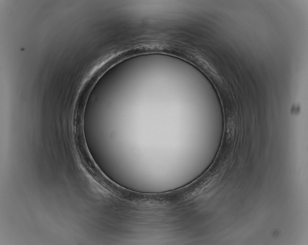 X0000093240722200709261529