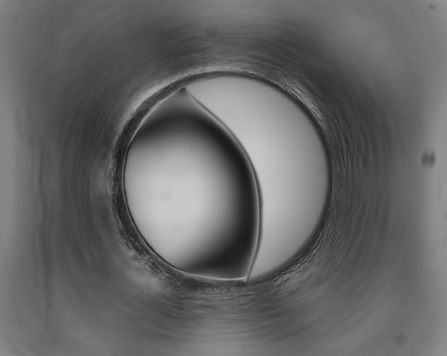 X0000093240724200709261529