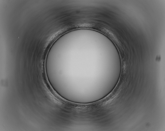 X0000093240725200709261529