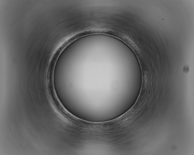 X0000093240726200709261529