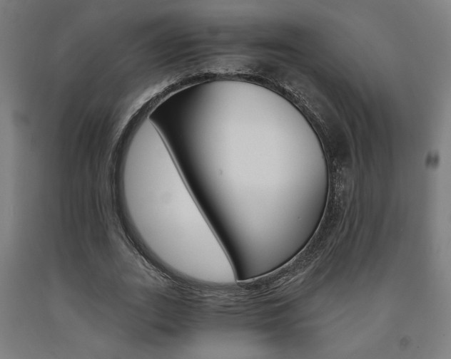 X0000093240727200709261529