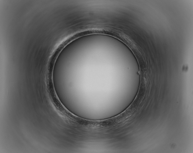 X0000093240728200709261529