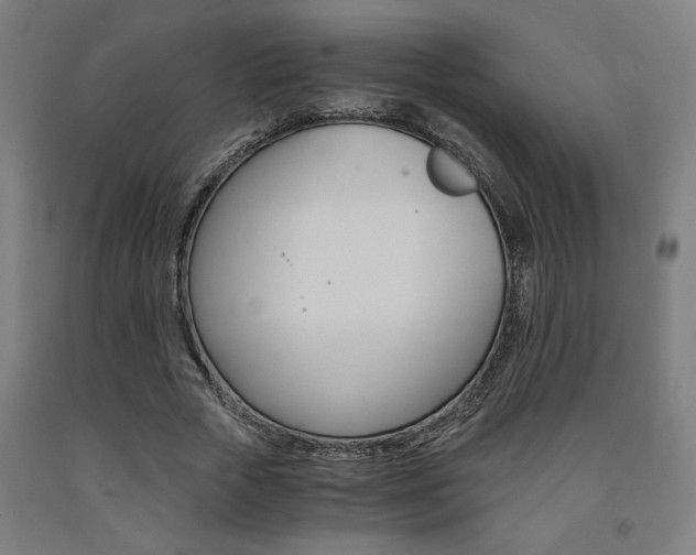 X0000093240729200709261529