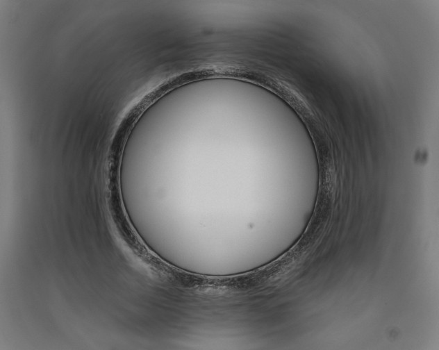X0000093240730200709261529