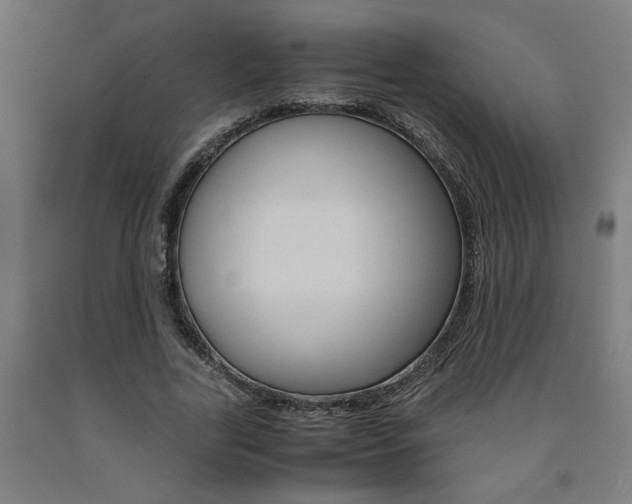 X0000093240731200709261529