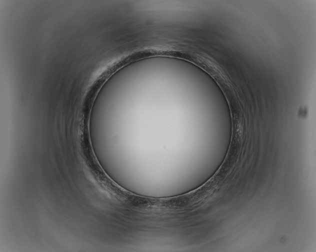 X0000093240732200709261529