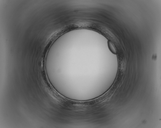 X0000093240733200709261529