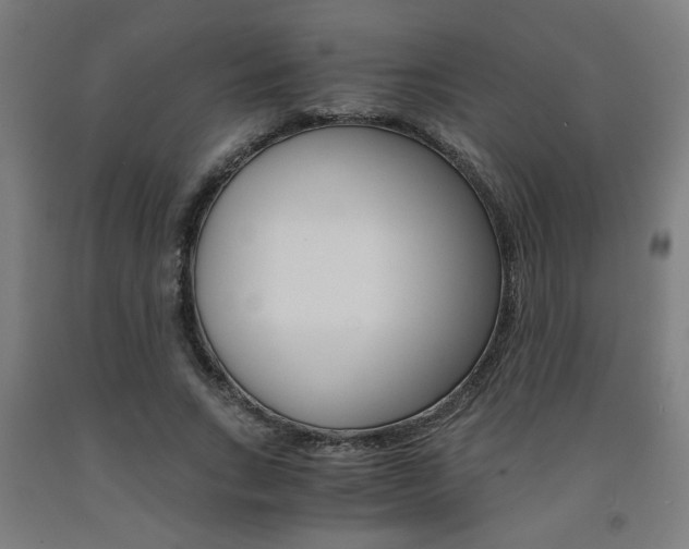 X0000093240735200709261529