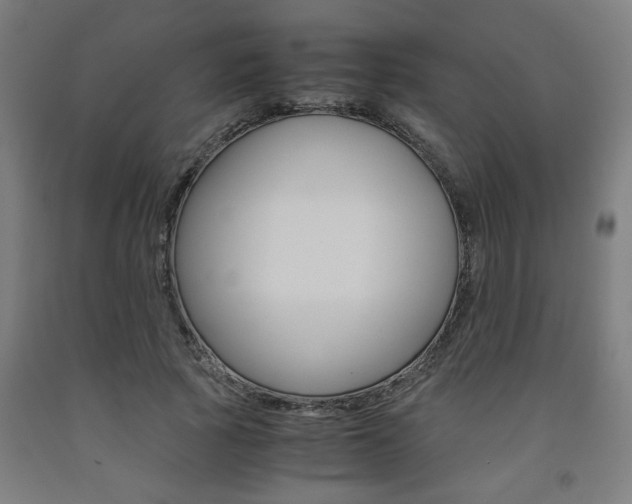X0000093240737200709261529