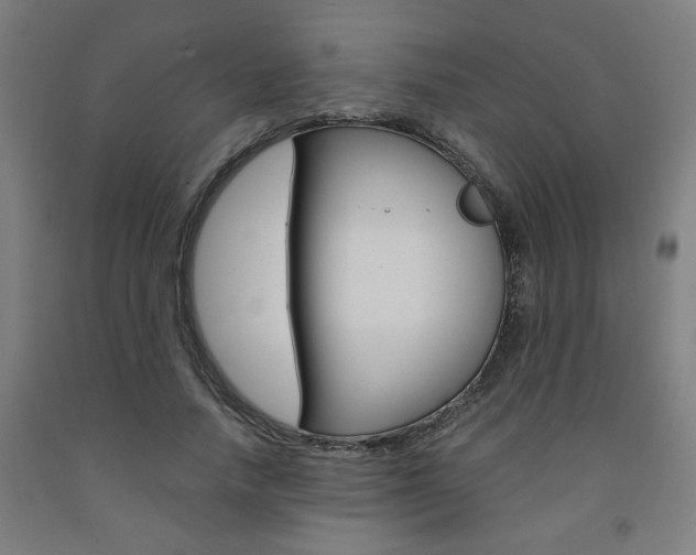 X0000093240738200709261529