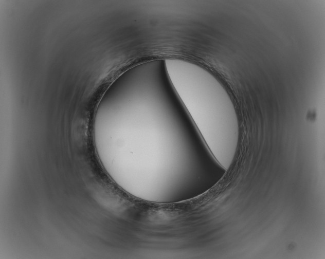X0000093240739200709261529