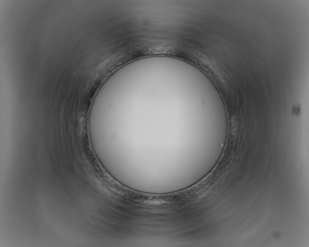 X0000093240741200709261529