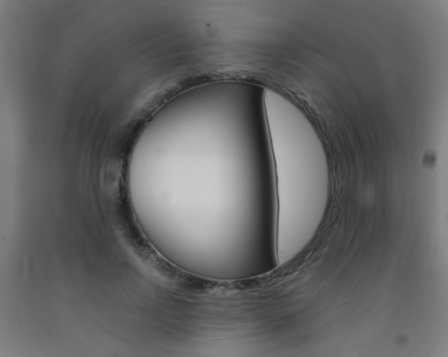 X0000093240742200709261529