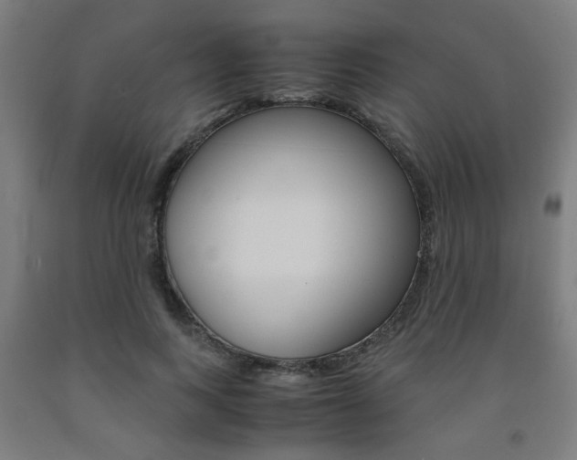 X0000093240743200709261529