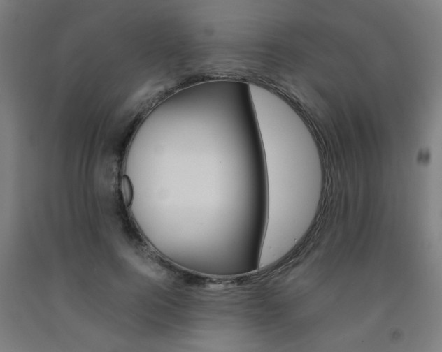 X0000093240744200709261529