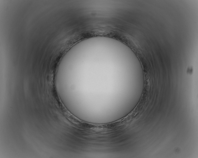 X0000093240745200709261529
