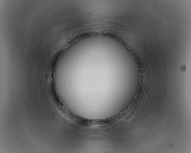X0000093240746200709261529