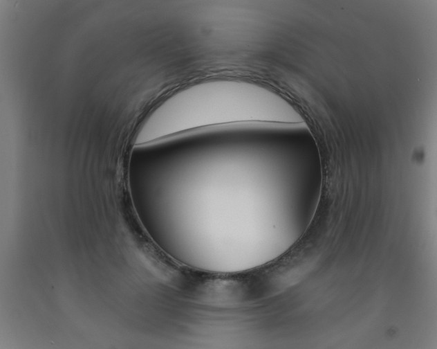 X0000093240748200709261529