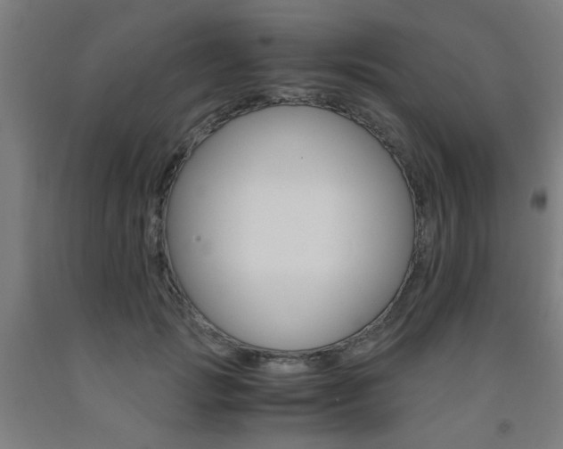 X0000093240749200709261529