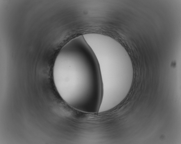 X0000093240750200709261529