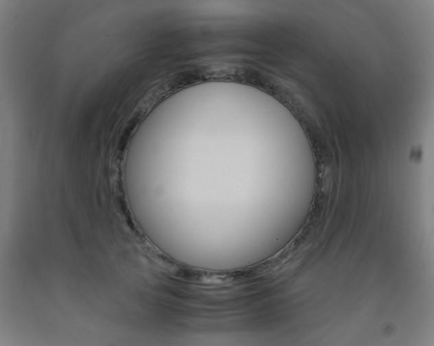 X0000093240753200709261530