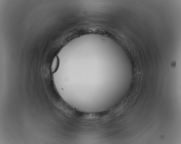 X0000093240754200709261530