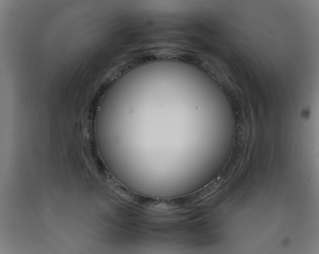 X0000093240755200709261530