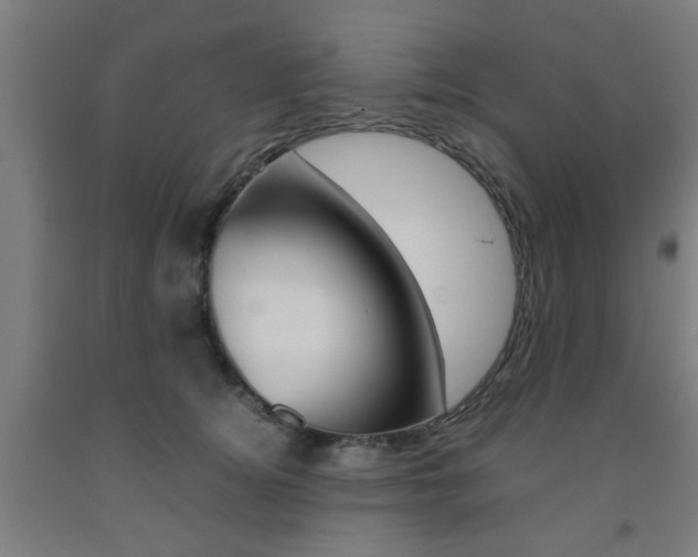 X0000093240756200709261530