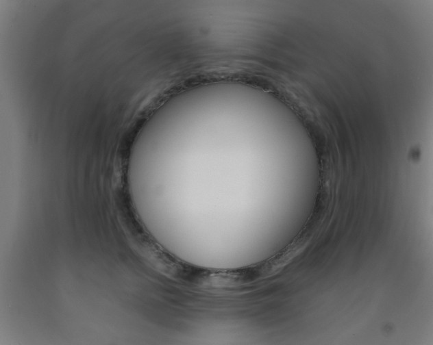 X0000093240758200709261530