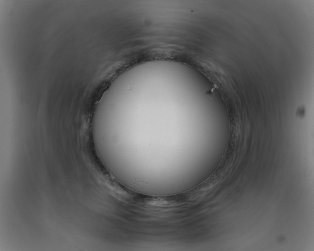 X0000093240759200709261530