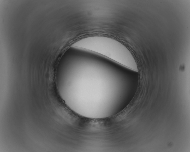 X0000093240760200709261530