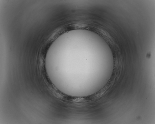 X0000093240761200709261530