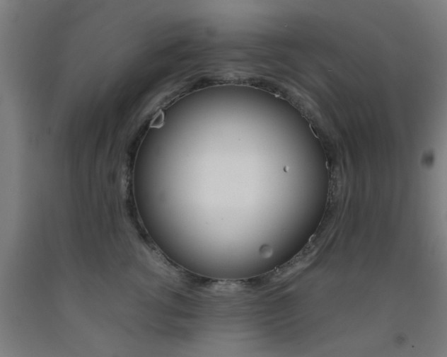 X0000093240762200709261530