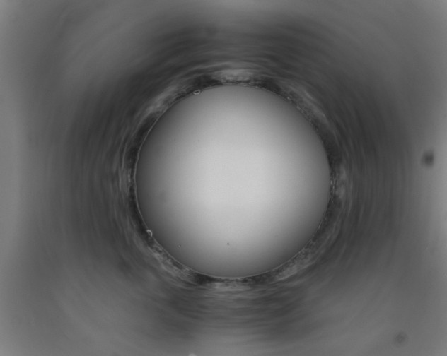 X0000093240763200709261530
