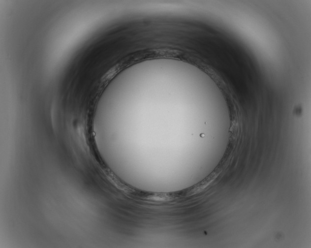 X0000093240765200709261530