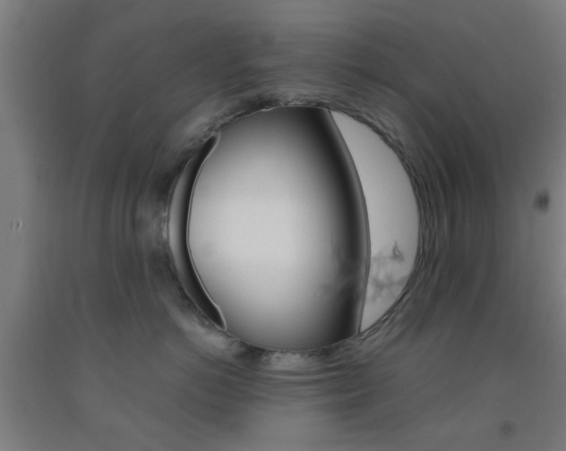 X0000093240766200709261530
