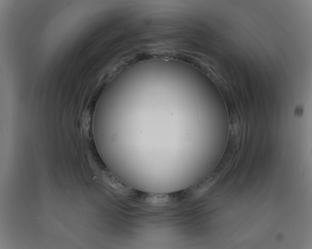 X0000093240767200709261530