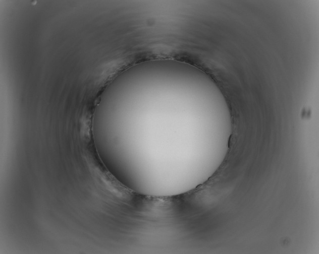 X0000093240768200709261530