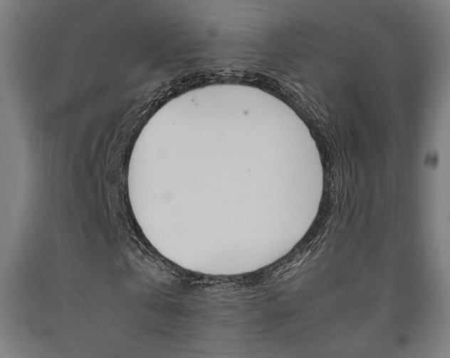 X0000093240769200709261529