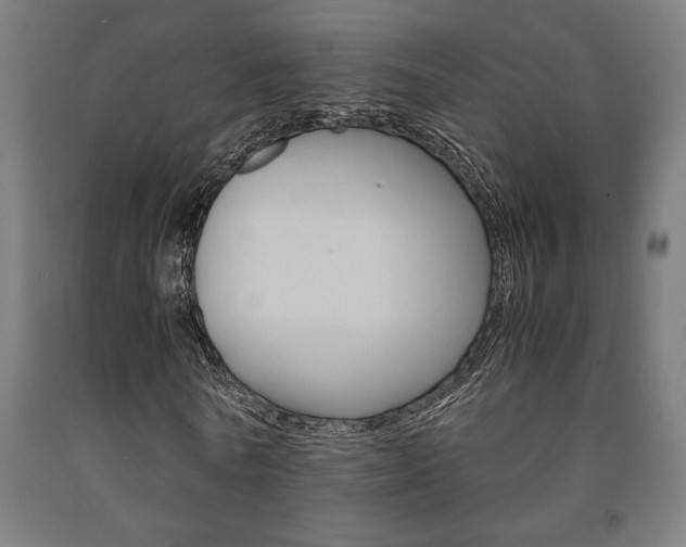 X0000093240770200709261529