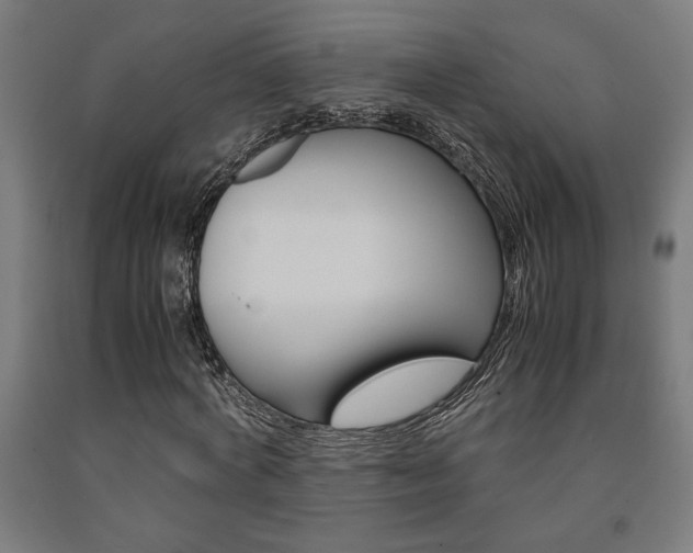 X0000093240772200709261529