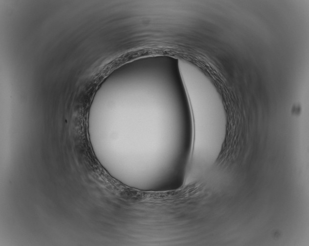 X0000093240773200709261529