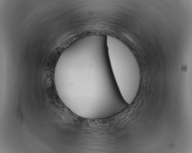 X0000093240774200709261529