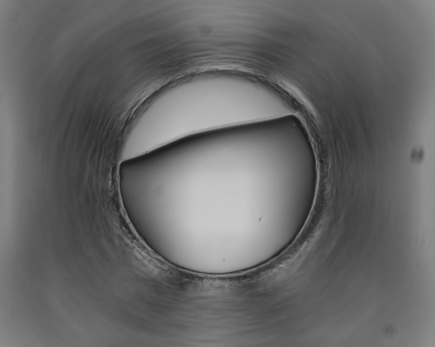 X0000093240777200709261529