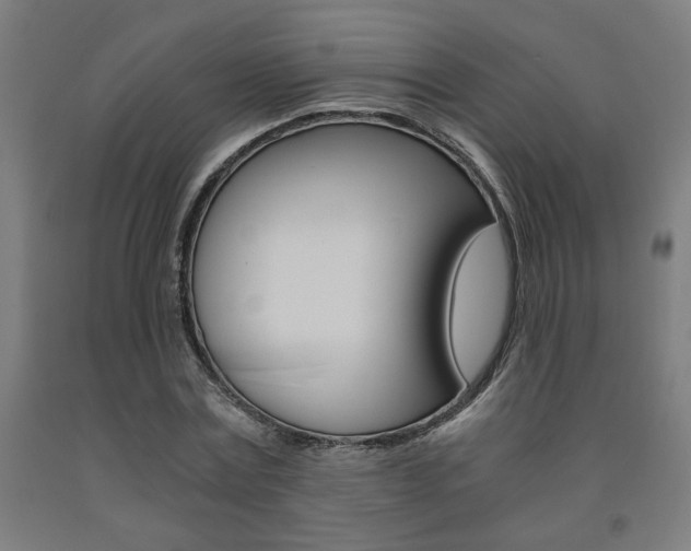 X0000093240779200709261529